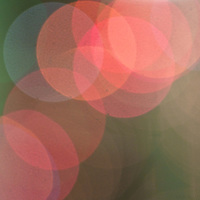 Featured image for “Christmas 2012”